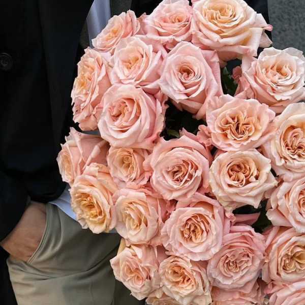 Large bouquet of pale pink roses held by a person