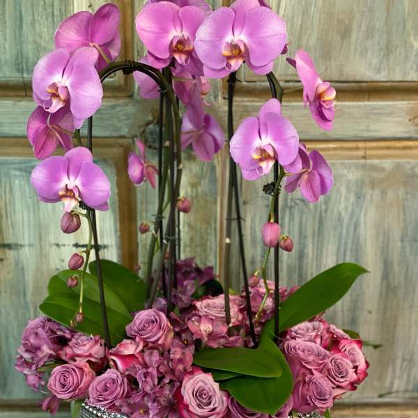 Pink orchids and roses arranged in a jeweled silver bowl