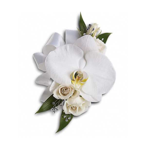 White orchid corsage with cream roses and silver ribbon