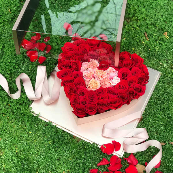 Heart-shaped box of red and pink roses with a ribbon on grass