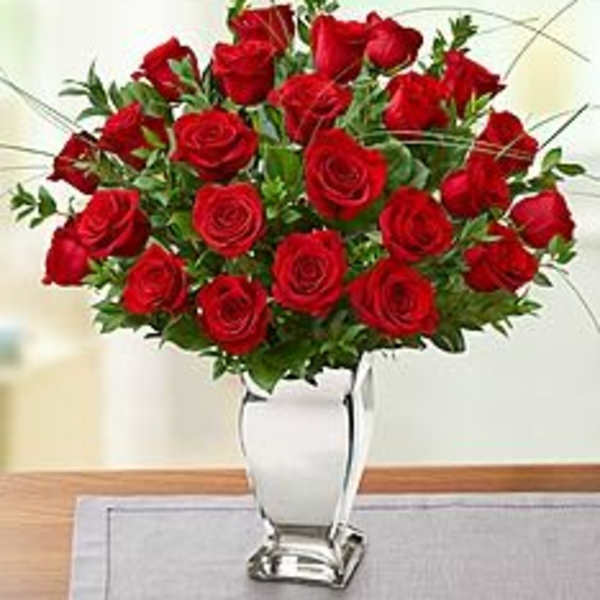Red roses arranged in a white vase