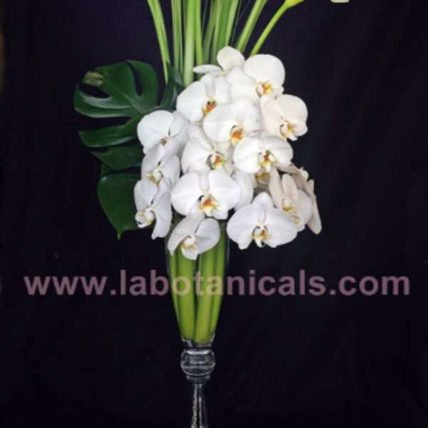White calla lilies and orchids arranged in a tall glass vase