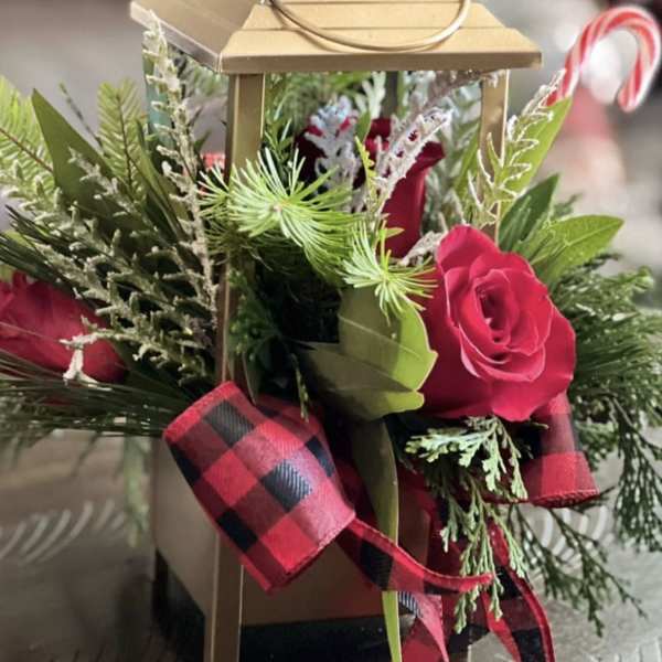 Gold lantern with red roses and holiday greenery