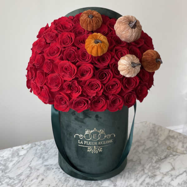 Pumpkin Party