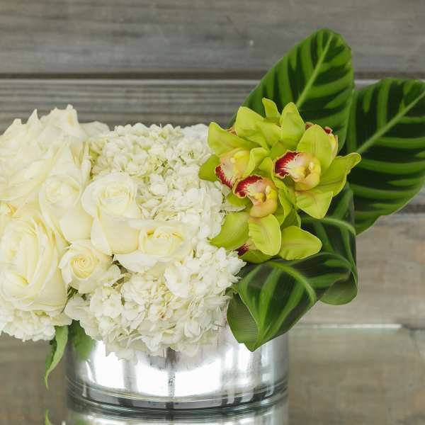 White roses and hydrangeas with green orchids in a silver vase