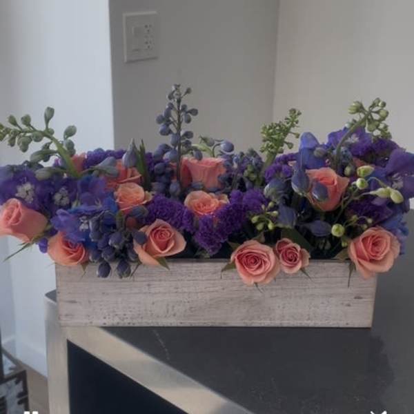 Sunset & Twilight Garden Box