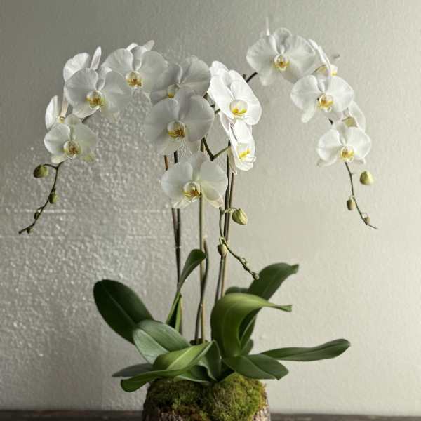 Mother's Day Arrangement #3