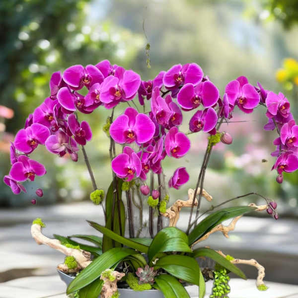 Magenta orchid arrangement in a gray bowl planter