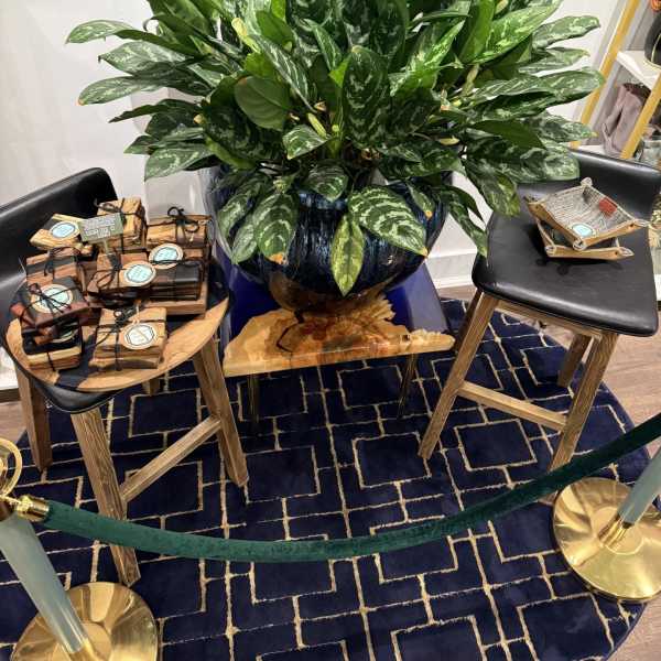 Huge Chinese Evergreen