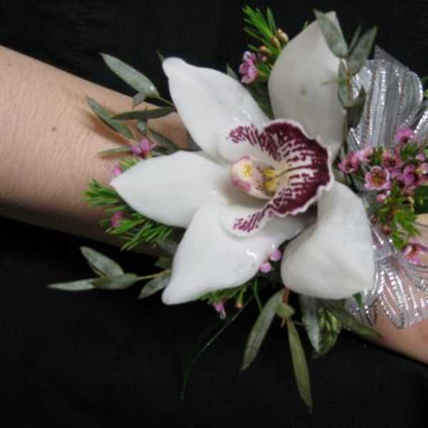 White orchid wrist corsage with silver ribbon on a wrist