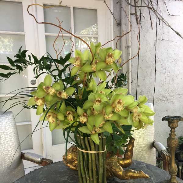 Bouquet of green orchids with long stems in a bundled arrangement