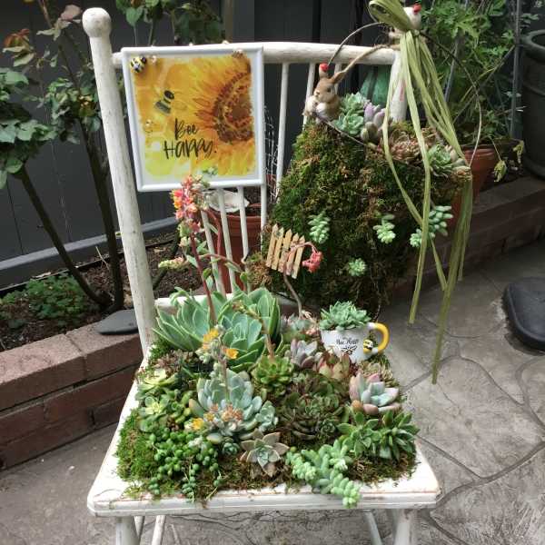 Succulent arrangement on a white chair with a bee-themed sign