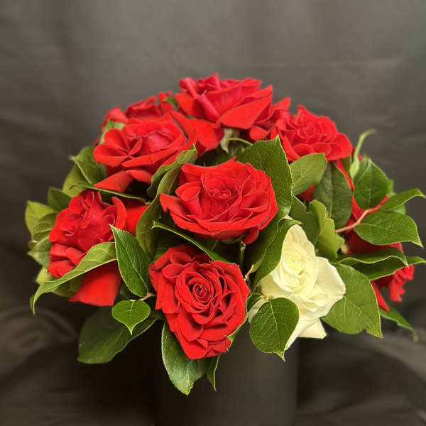 Red and white roses arranged in a black vase