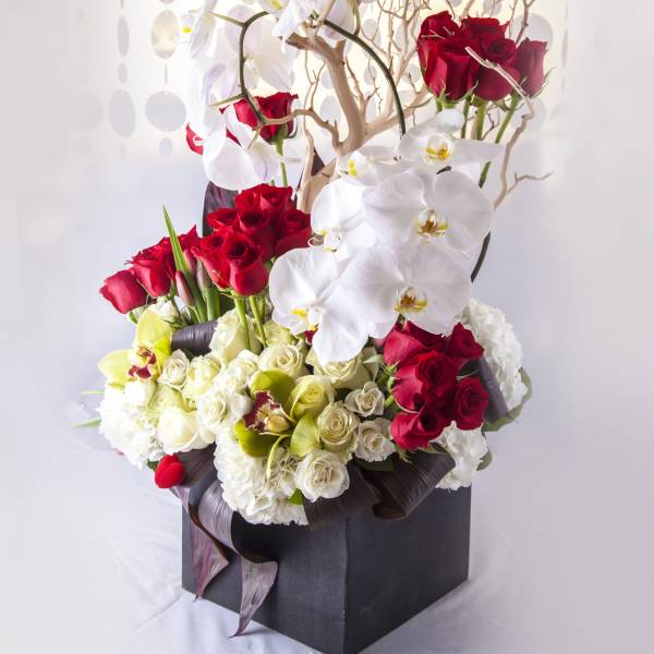 Blooms in Red and White