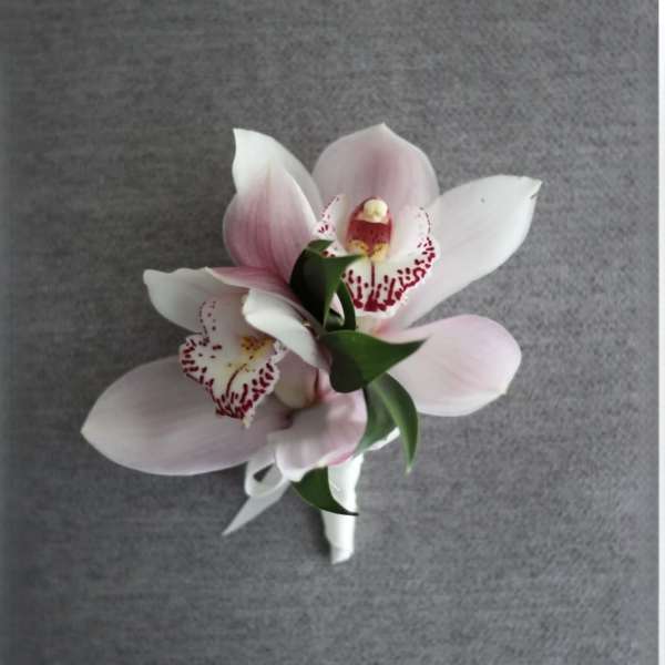 Small bouquet of pink and white orchids with a white ribbon