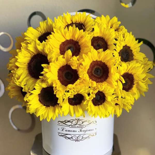 Bouquet of yellow sunflowers in a white hatbox