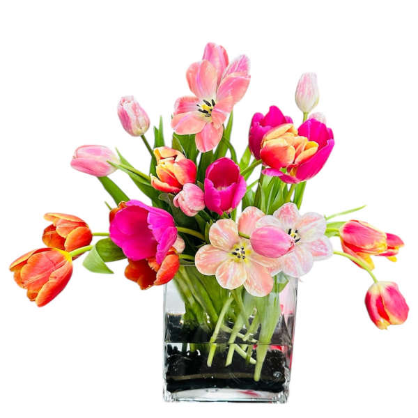 Colorful tulips arranged in a clear glass vase