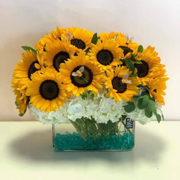Sunflower arrangement in a clear rectangular vase with white hydrangeas