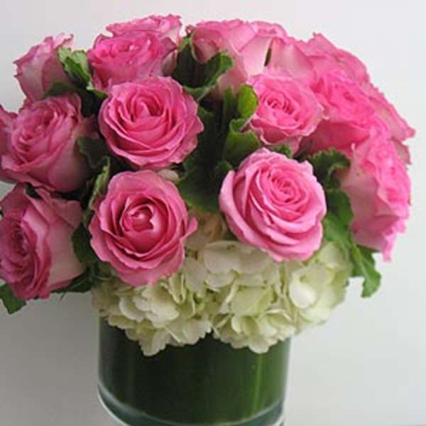 Pink roses arranged above white hydrangeas in a green vase