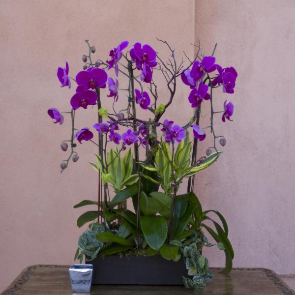 Purple orchids arranged in a black rectangular planter with green foliage