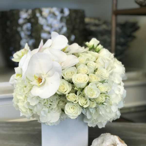 White roses and orchids arranged in a square white vase