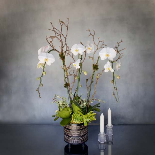 White orchids in a patterned pot with green succulents and two white candles