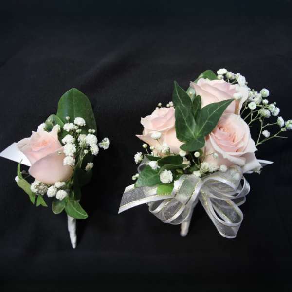 Blush Elegance Rose Set