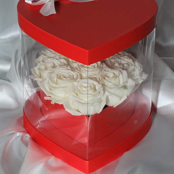 White roses in a red heart-shaped gift box with a clear cover and white ribbon