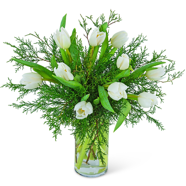 White tulips arranged in a clear glass vase with airy greenery