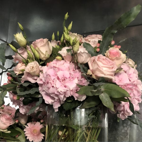 Pink Hydrangea and More