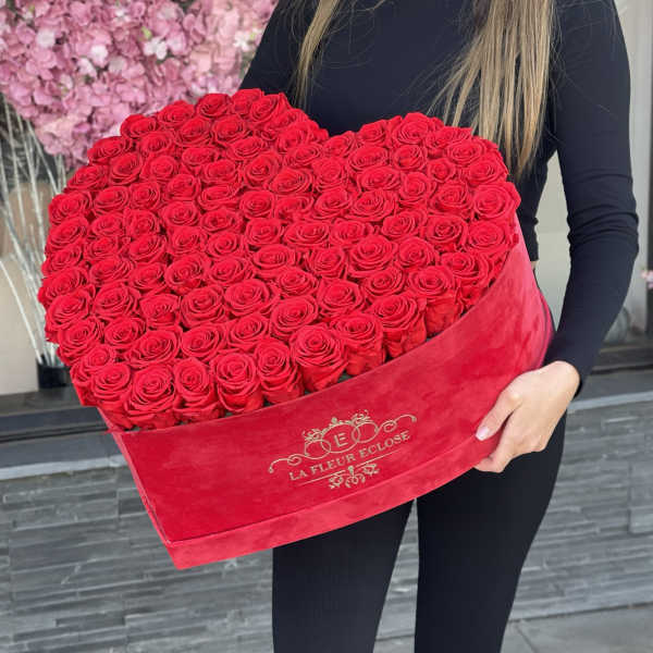 Heart-shaped box of red roses held by a person