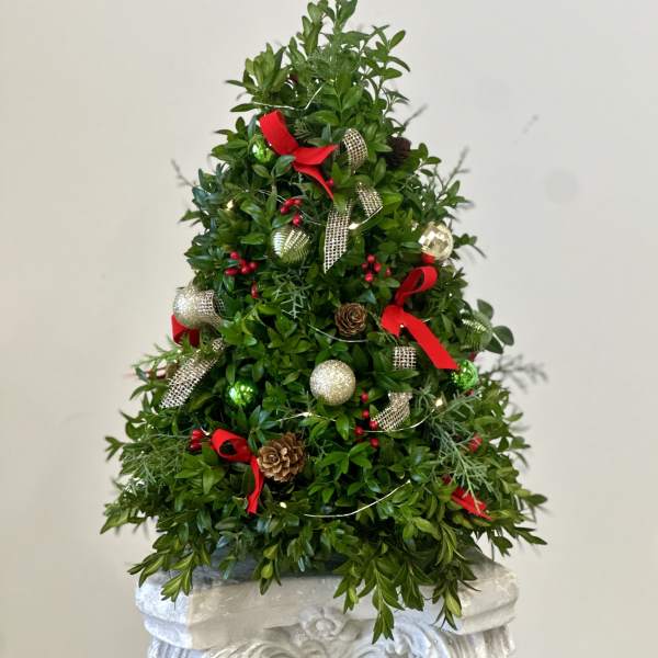 Boxwood Tree by Westford Florist Art by Veny