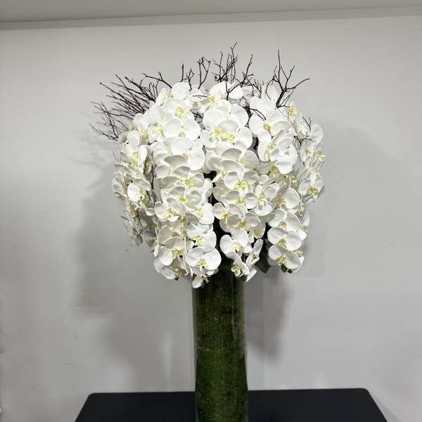 White orchid arrangement in a tall glass vase