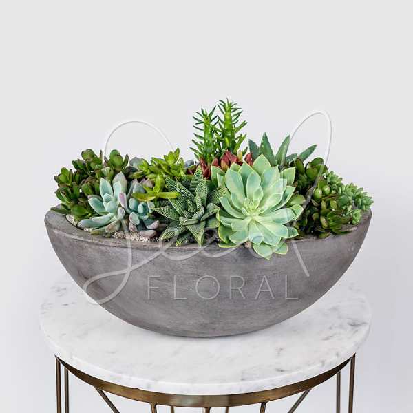 Succulent arrangement in a gray bowl planter on a round table