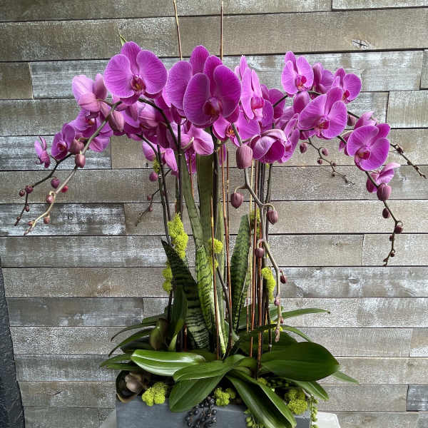 Tall arrangement of pink orchids in a gray rectangular planter