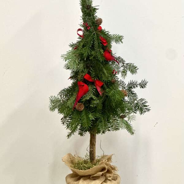 Classic Evergreen Limited Collection by Westford Florist Art by Veny