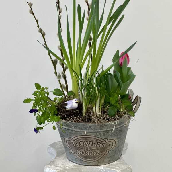 Spring Blossom Garden Pot by Westford Florist Art by Veny