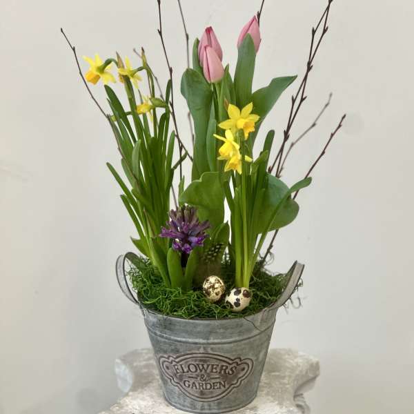 Country Charm Bulb Garden by Westford Florist