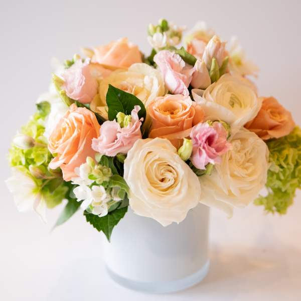 Blush