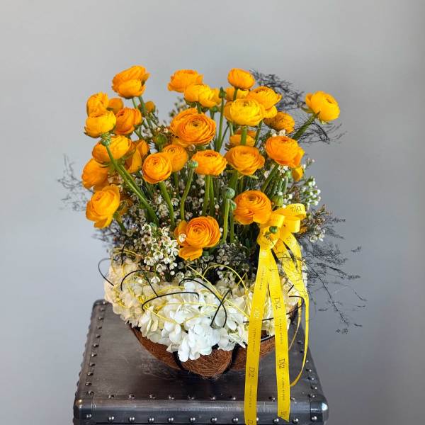 Orange ranunculus arrangement with white hydrangea and yellow ribbon in a basket