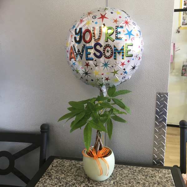 Potted plant with a "You're Awesome" balloon