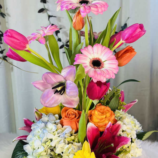 Bright mixed bouquet in a pink wrapped container with tulips and gerbera daisies