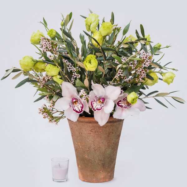 Potted floral arrangement with pale orchids and lime-green blooms
