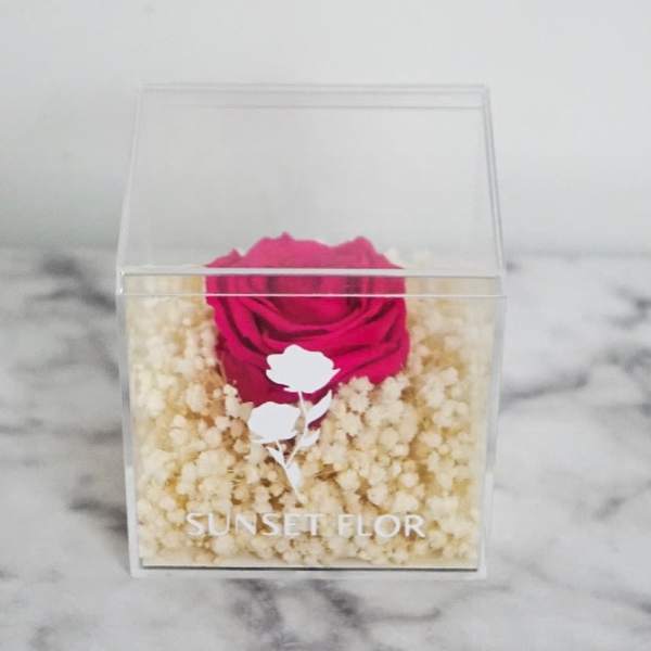 Forever Rose - Cotton Candy