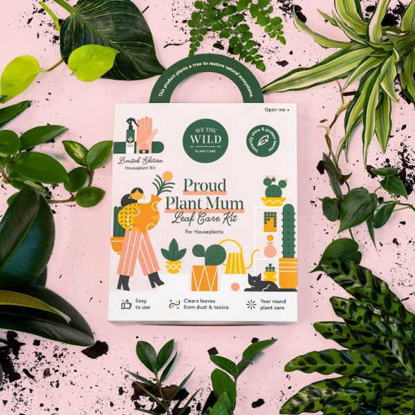 Houseplant care kit box surrounded by assorted green plant leaves