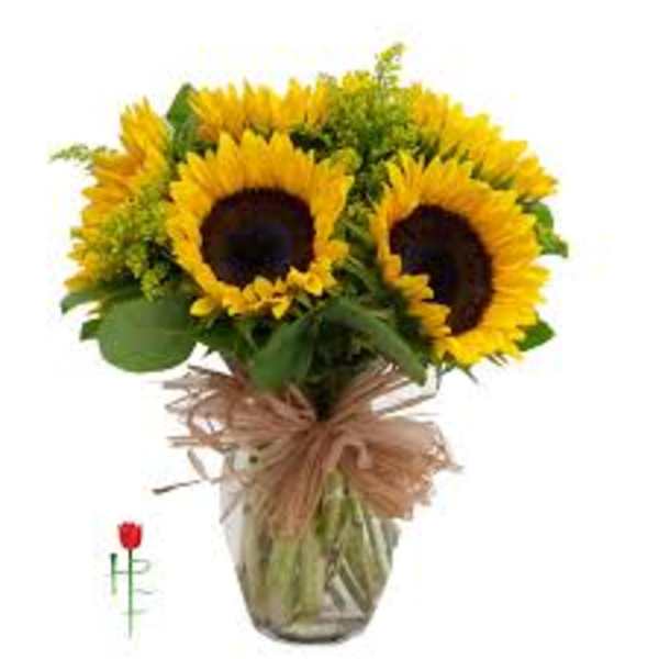 Vase arrangement of bright yellow sunflowers with filler in a clear glass vase