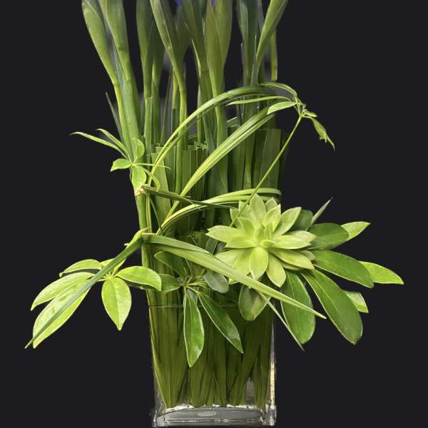 Blue iris arrangement in a clear glass vase with green foliage