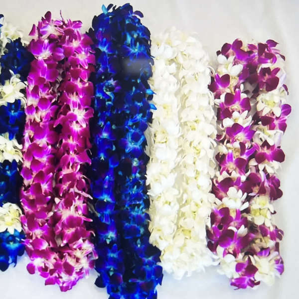 Colorful orchid leis arranged in rows on a white background
