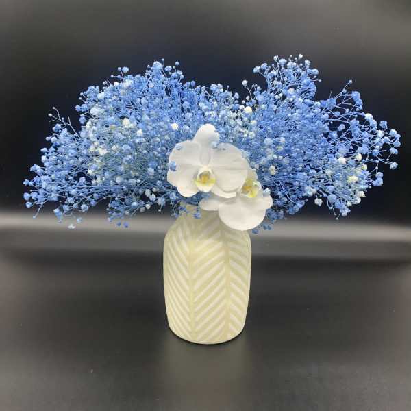 Blue baby's breath arrangement with white orchids in a patterned vase