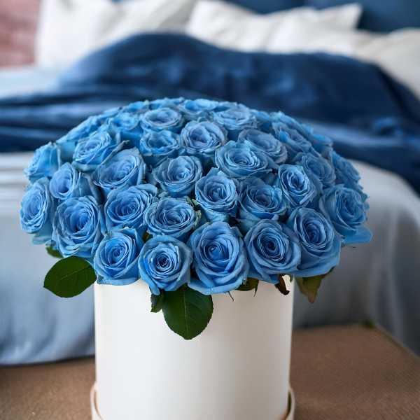 Blue roses arranged in a white round box
